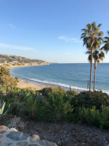 Vista #03<br/><small><em>Laguna Beach</em></small>