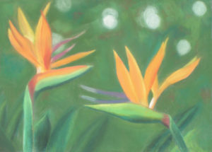 Pastel #12<br/><small><em>Two Birds of Paradise</em></small>