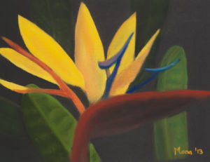 Giclee Paper #02<br/><small><em>Bird of Paradise</em></small>