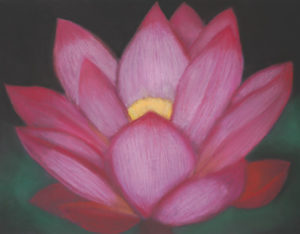 Giclee Paper #04<br/><small><em>Pink Lotus</em></small>