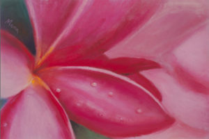 Giclee Paper #06<br/><small><em>Pink Plumeria</em></small>